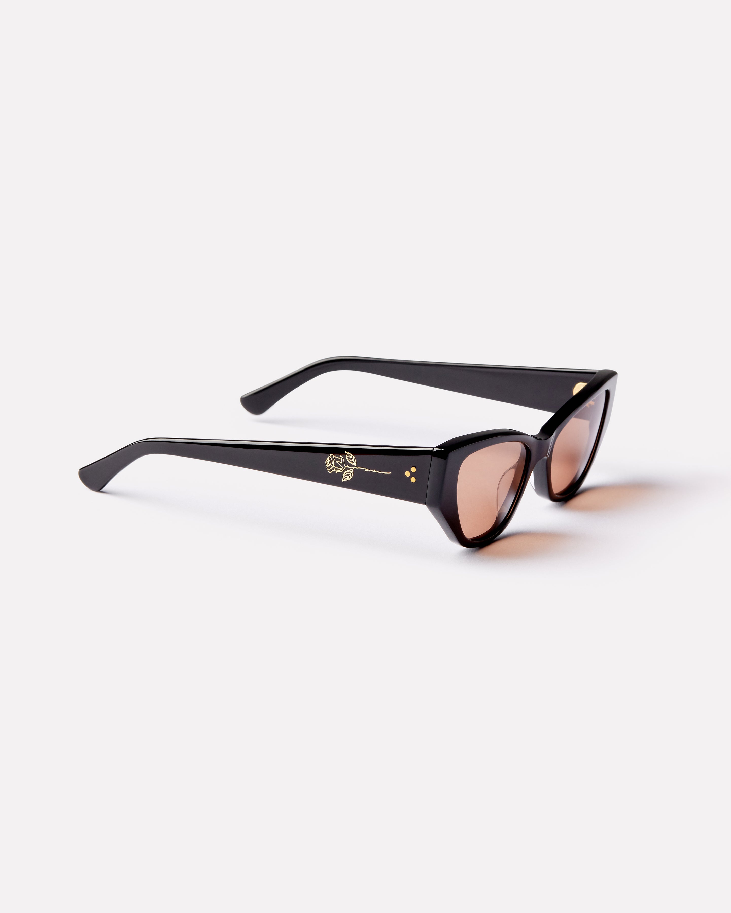 Reprise x Jack Freestone - Black Polished / Bronze Amber Polarised