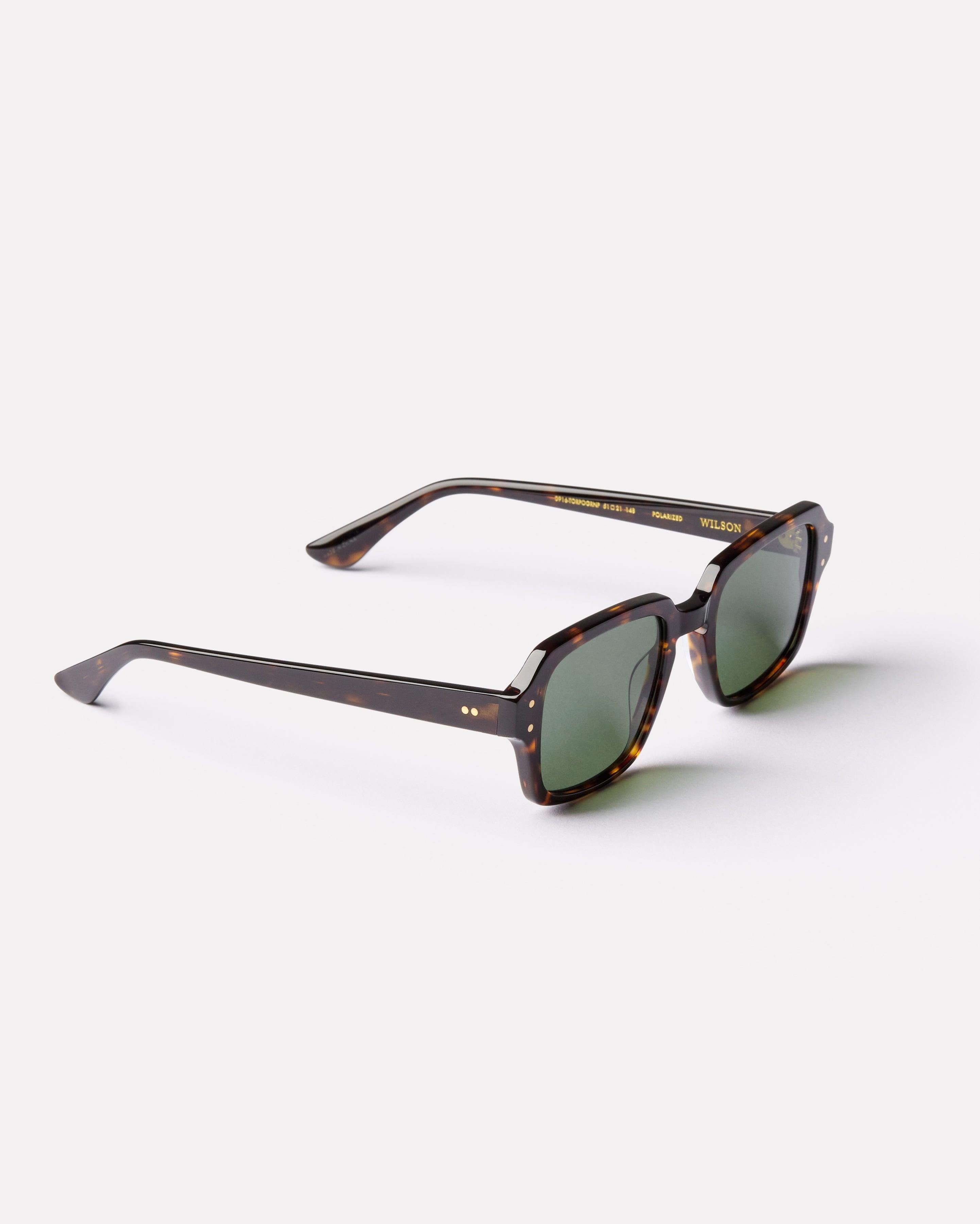 Wilson - Tortoise Polished / Green Polarized