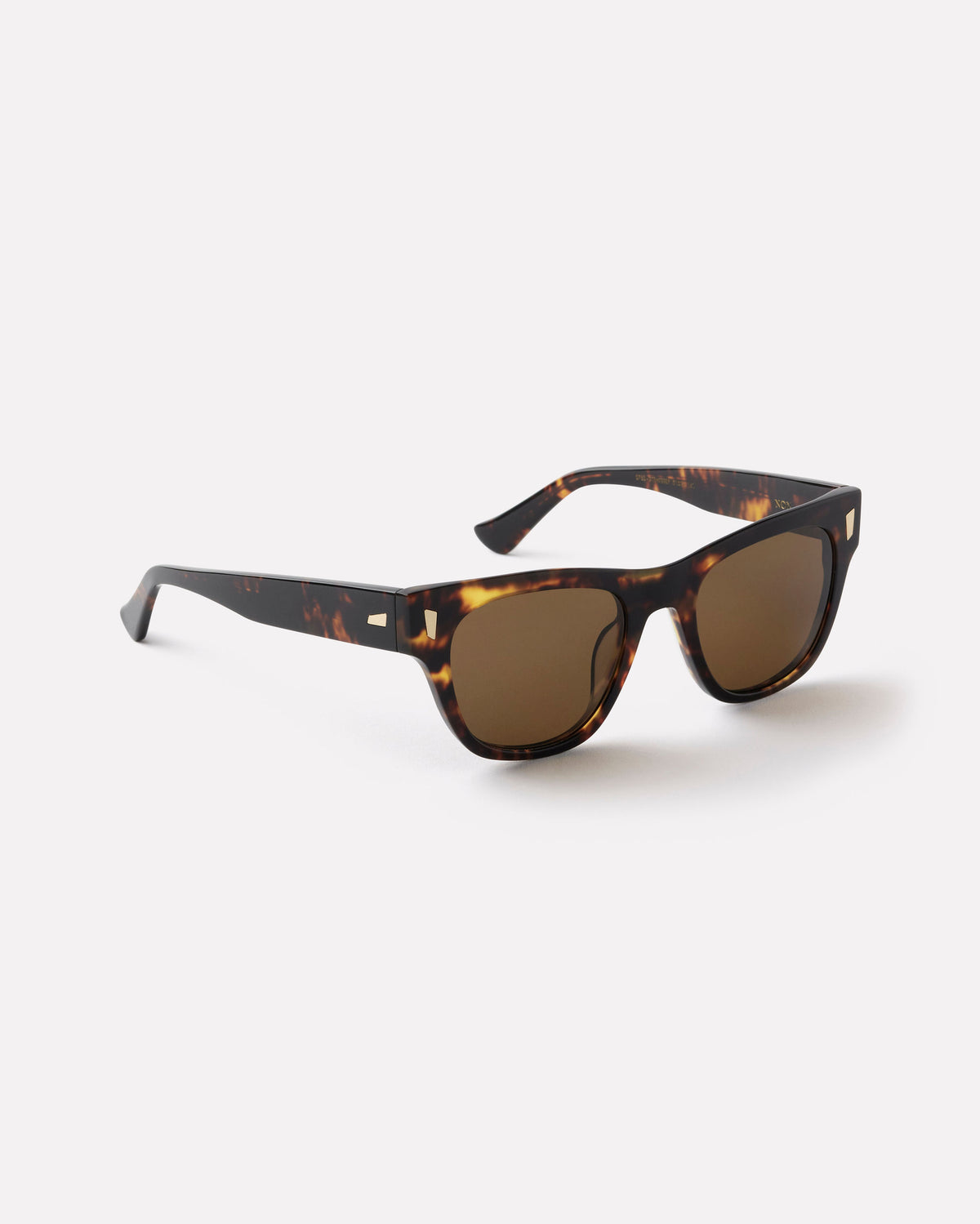 Non - Tortoise Polished / Bronze Polarised