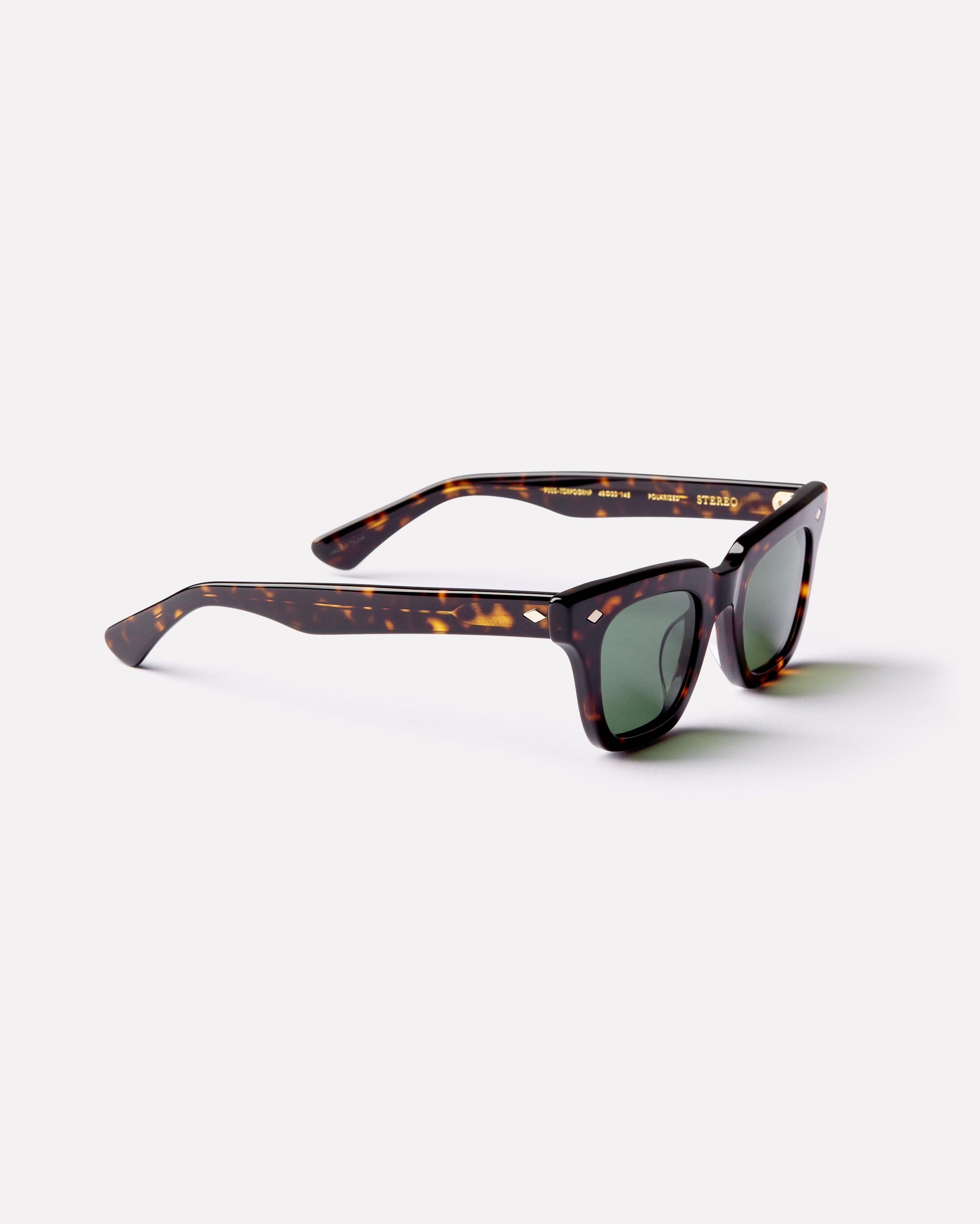 Stereo - Tortoise Polished / Green Polarized